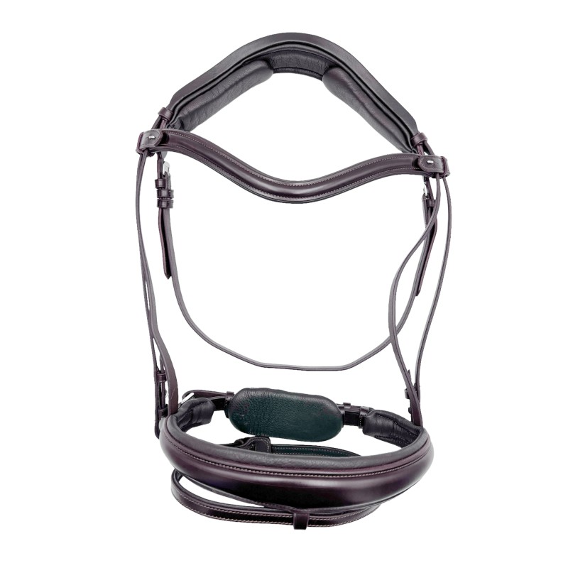 SteinEQUEST Trense | Klassisk Trense med Flade Remme & Glat Pandebånd