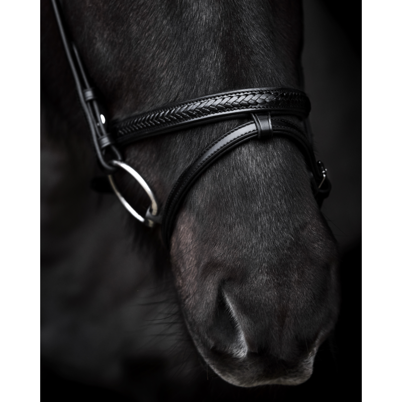 SteinEQUEST Trense iCe | Håndflettet Islændermodel i Premium Kvalitet