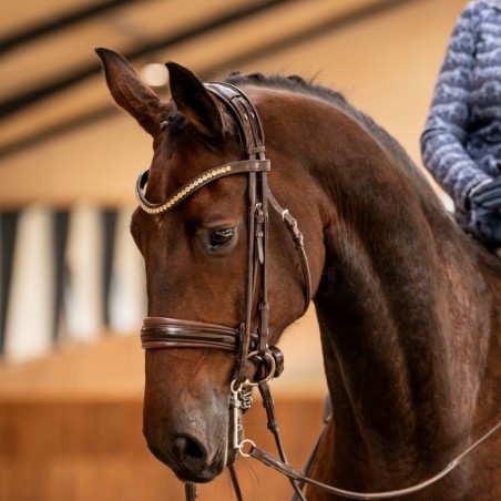 Kandar, krystal pandebånd, rundsyede remme