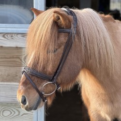 SteinEQUEST Trense iCe | Håndflettet Islændermodel i Premium Kvalitet