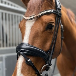 Næsebånd Classic Dunlop pude