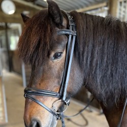 SteinEQUEST Trense iCe | Glat Islændermodel i Premium Kvalitet