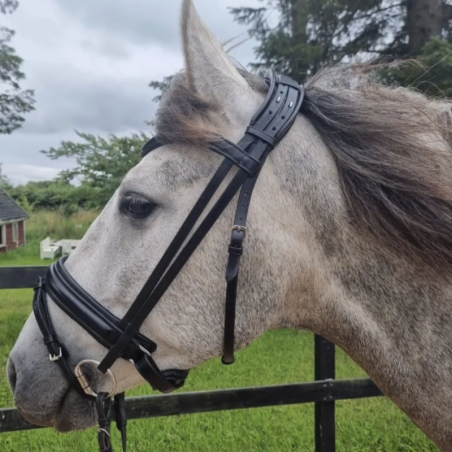 Trense classic-glat pandebånd, flade remme
